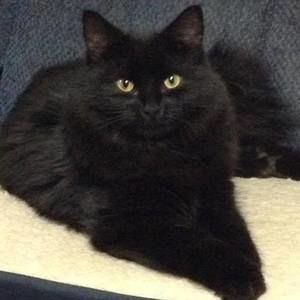 Meet your Posher, Karen